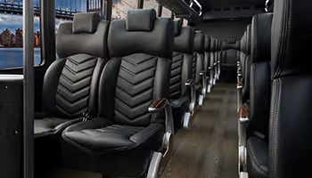 professional  car service