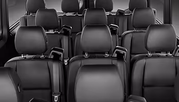 professional  car service