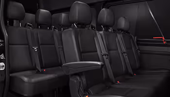 professional  car service