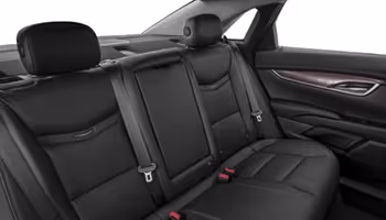 professional  car service