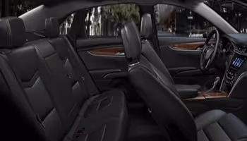 professional  car service